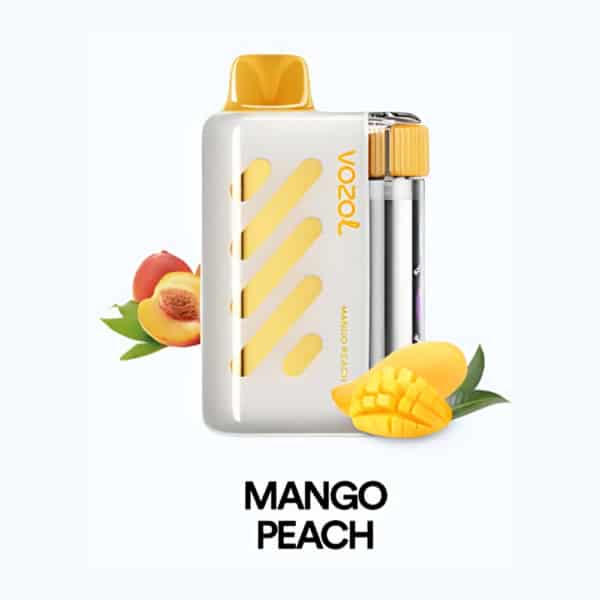 Mango Peach By VOZOL VISTA 40000 Puffs Disposable Pod