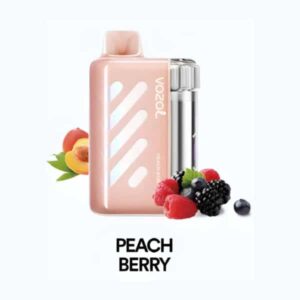 Peach Berry By VOZOL VISTA 40000 Puffs Disposable Pod